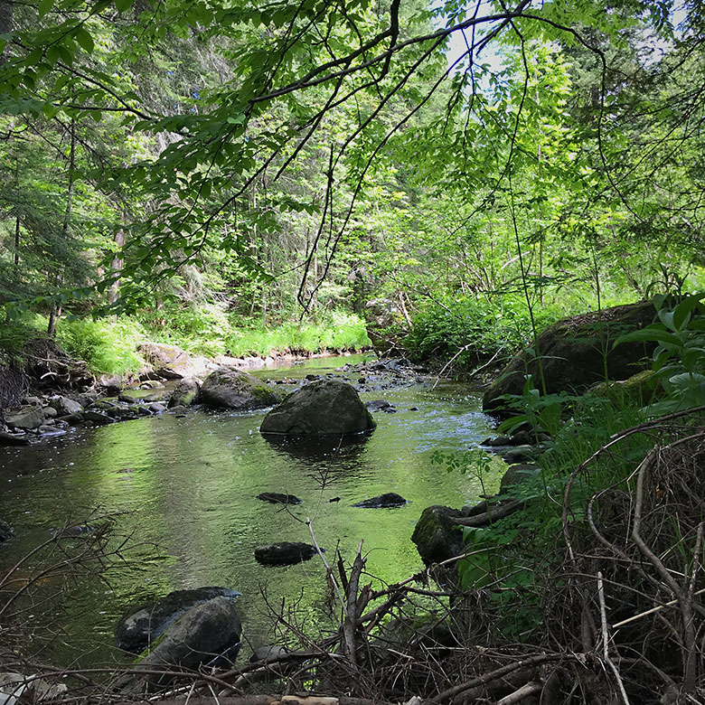 Vue aérienne du quartier du ruisseau